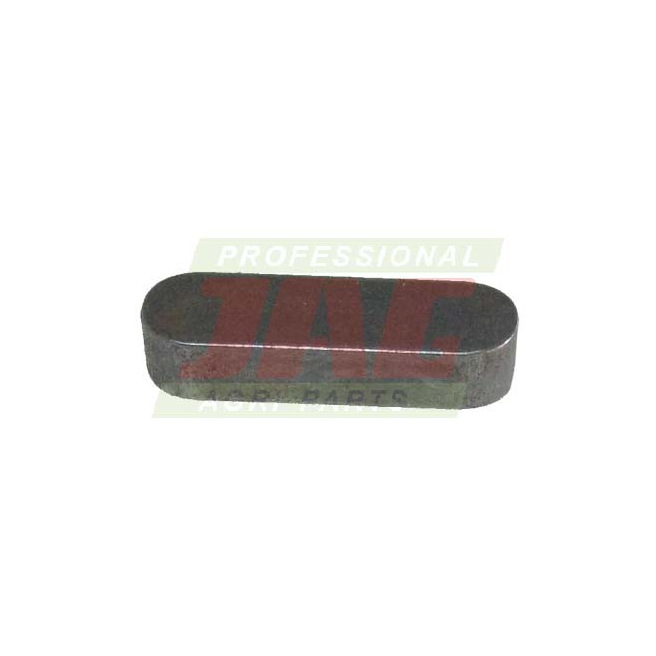 JAG08-0306 Wpust