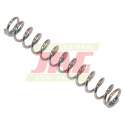 JAG08-0079 Tension spring