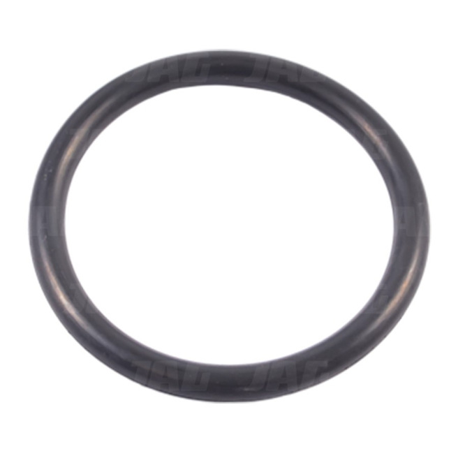 633231 Oring OryginaÅ‚ CLAAS