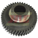 JAG06-0147 Z43 Gear Gear