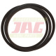 AP1004843 Pas Optibelt Agro Power