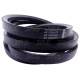 AP1000699 Pas Optibelt Agro Power
