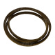AP1000139 Pas Optibelt Agro Power