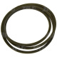AP1000718 Pas Optibelt Agro Power