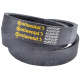 234.017.3C Pas Continental Agridur