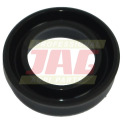 JAG09-0578 Mastic JAG