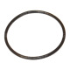 656306 Oring OryginaÅ‚ CLAAS