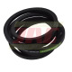 AP1004422 Pas Optibelt Agro Power