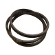 AP1004358 Pas Optibelt Agro Power