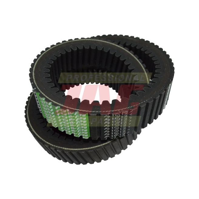 AP1001212 Pas Optibelt Agro Power (2x zÄ™baty)