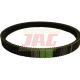 AP1001229 Pas Optibelt Agro Power (2xzÄ™baty)