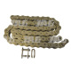 JAG04-0370 ÅaÅ„cuch napÄ™dowy ROLLON-SOLID