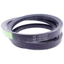 AP1003335 Courroie Optibelt Agro Power