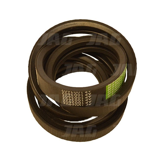 AP1003602 Pas Optibelt Agro Power