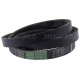 1001079 Pas OPTIBELT AGRO POWER