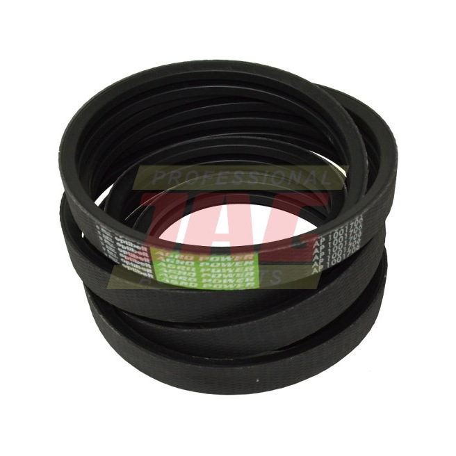 AP1001706 Pas Optibelt Agro Power
