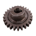 JAG04-0562 ZÄ™batka
