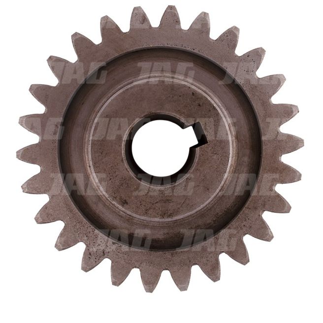 JAG04-0562 ZÄ™batka