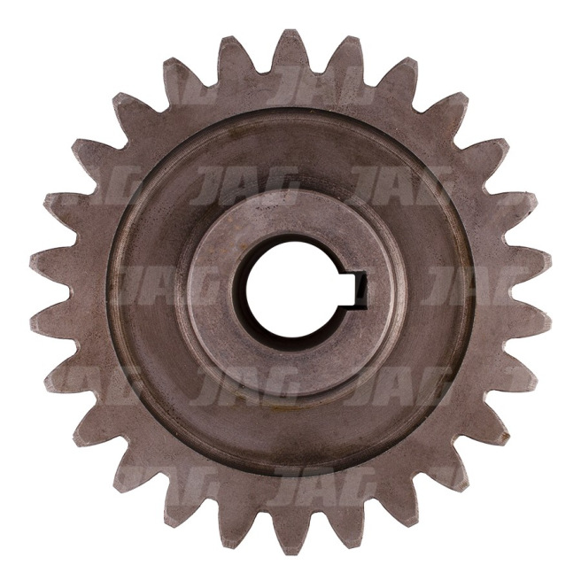 JAG04-0562 ZÄ™batka