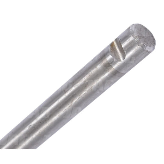 JAG02-0162 WaÅ‚ek palcÃ³w Å›limaka