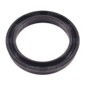 JAG03-0066 Mastic JAG