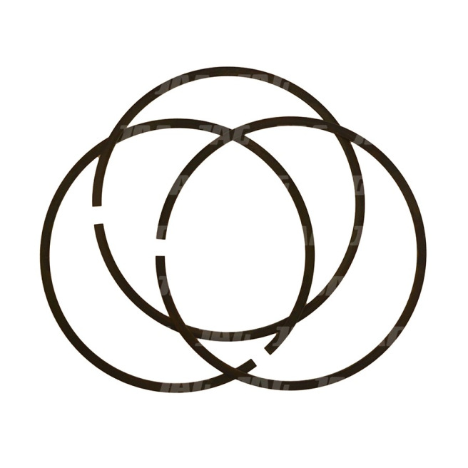 673428 Zestaw pierÅ›cieni zabezpieczajÄ…cych OryginaÅ‚ CLAAS