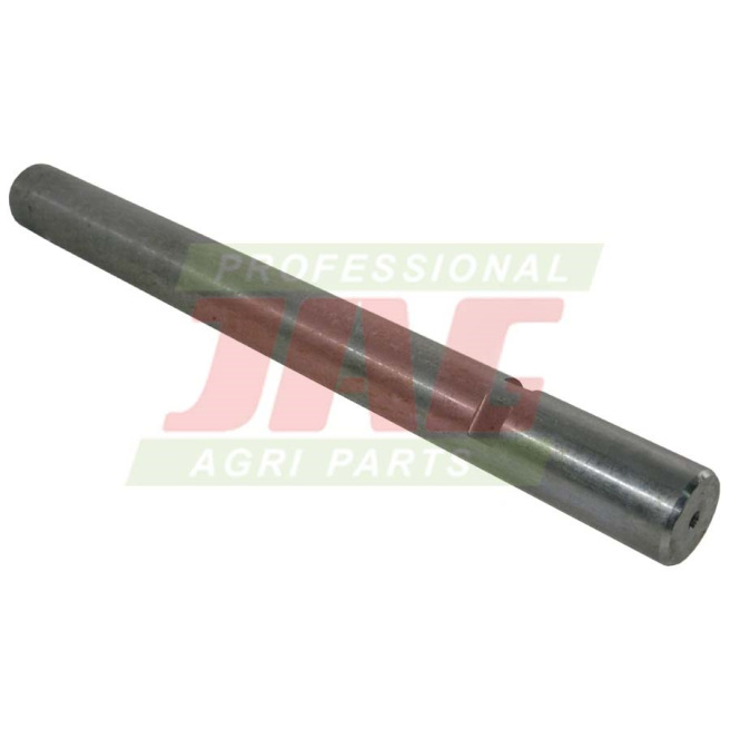 JAG02-0136 WaÅ‚ek