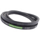 AP1000366 Pas Optibelt Agro Power