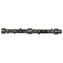 736818M1 Camshaft