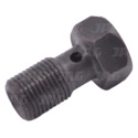 0095315 Overflow screw