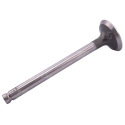 JAG99-0173 Exhaust valve