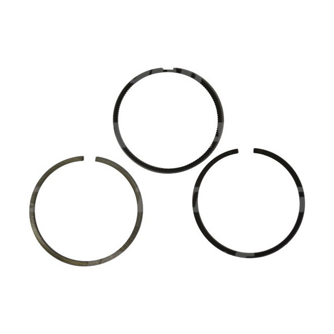 JAG99-0139 89-3629-00 PierÅ›cienie tÅ‚okowe NE Germany