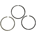 JAG99-0139 89-3629-00 Segments de piston NE Allemagne