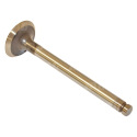 JAG99-0175 Exhaust valve