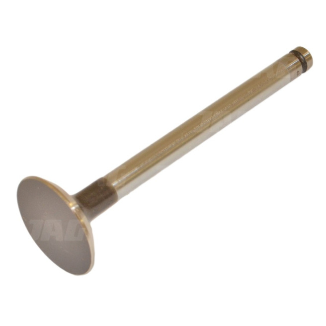 JAG99-0175 ZawÃ³r wydechowy