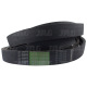 AP1001928 Pas Optibelt Agro Power