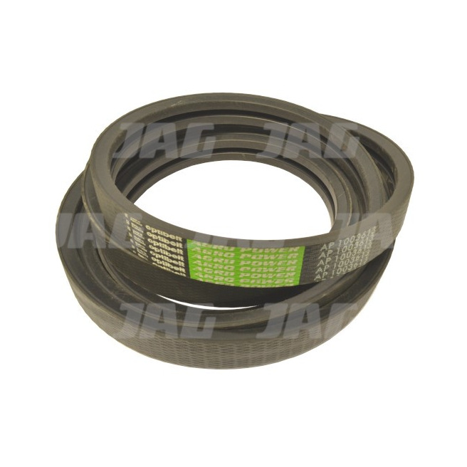 AP1003613 Pas Optibelt Agro Power